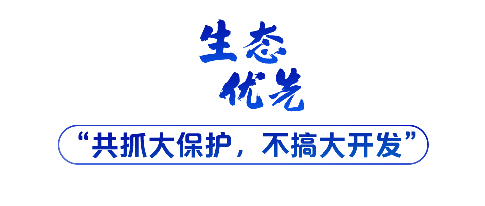 學(xué)習(xí)關(guān)鍵詞丨聽，長江經(jīng)濟(jì)帶高質(zhì)量發(fā)展“協(xié)奏曲”