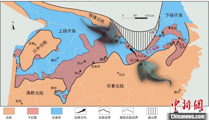 華南地區(qū)志留紀早期古地理圖和盔甲魚類化石產(chǎn)地(山顯任改自陳旭、戎嘉余，1996；戎嘉余等，2012) 中科院古脊椎所 供圖