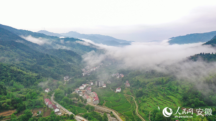 雨后的金寨大灣村，云霧環(huán)繞，宛如一幅田園山水畫卷。人民網(wǎng) 張俊攝