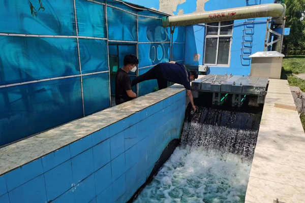 邯鄲市雞澤縣藍(lán)天污水處理廠員工正在出水口進(jìn)行水質(zhì)檢測。鄭佳欣攝