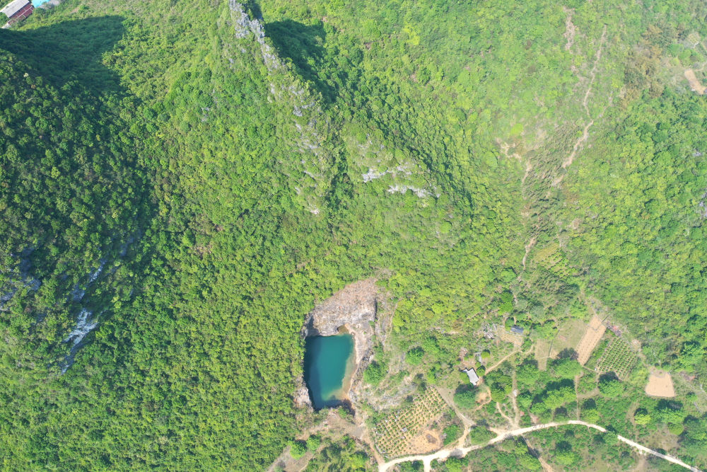 鏡觀·回響丨西部生態(tài)建設(shè)：以高水平保護(hù)支撐高質(zhì)量發(fā)展