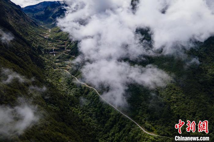 西藏山南勒布溝景區(qū)的盤山公路被云霧環(huán)繞?！〗w波 攝