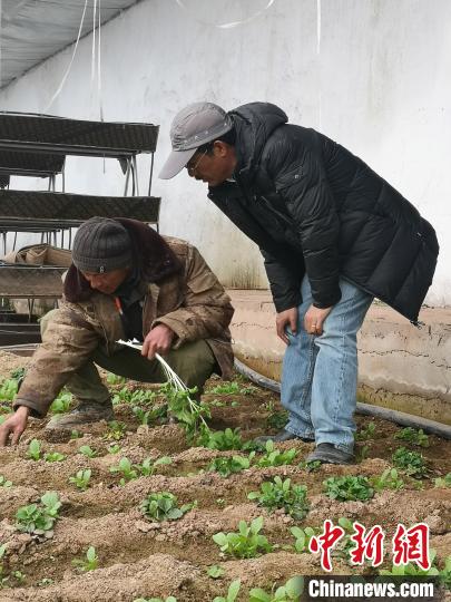 圖為尼瑪扎西(右)與西藏農(nóng)民聊天(資料圖)。西藏農(nóng)科院 供圖