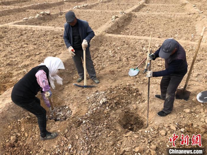 資料圖為建行青海省分行綠化區(qū)施工隊(duì)隊(duì)員處理亂石?！〗ㄐ星嗪Ｊ》中泄﹫D