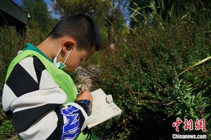 圖為小朋友在青海西寧湟水國家濕地公園內(nèi)認(rèn)識植物并進(jìn)行繪畫。　馬銘言 攝