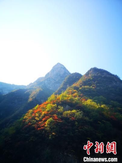 四川萬源：紅葉觀賞正當(dāng)時滿山紅葉層林盡染