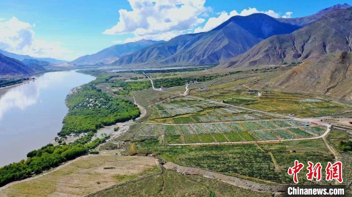 圖為桑日縣葡萄種植基地。　山南桑日縣委宣傳部提供