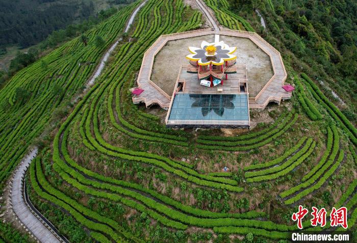 圖為西藏林芝市墨脫縣背崩鄉(xiāng)格林村山頂?shù)木坝^茶園。(無(wú)人機(jī)照片) 李林 攝