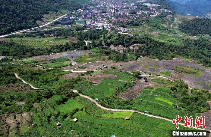 圖為西藏林芝市墨脫縣城附近的茶田。(無(wú)人機(jī)照片) 李林 攝