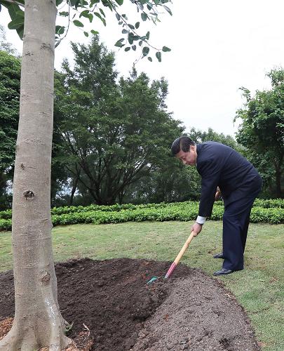 2012年12月7日至11日，習(xí)近平在廣東省考察工作。這是8日上午，習(xí)近平在深圳蓮花山公園種下一棵高山榕樹。新華社記者 蘭紅光 攝