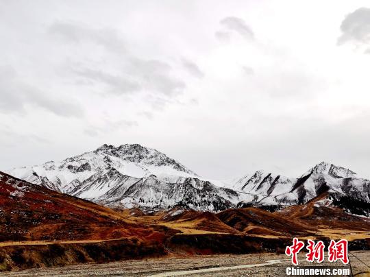 青海北部祁連山區(qū)白雪皚皚低矮處牧草枯黃