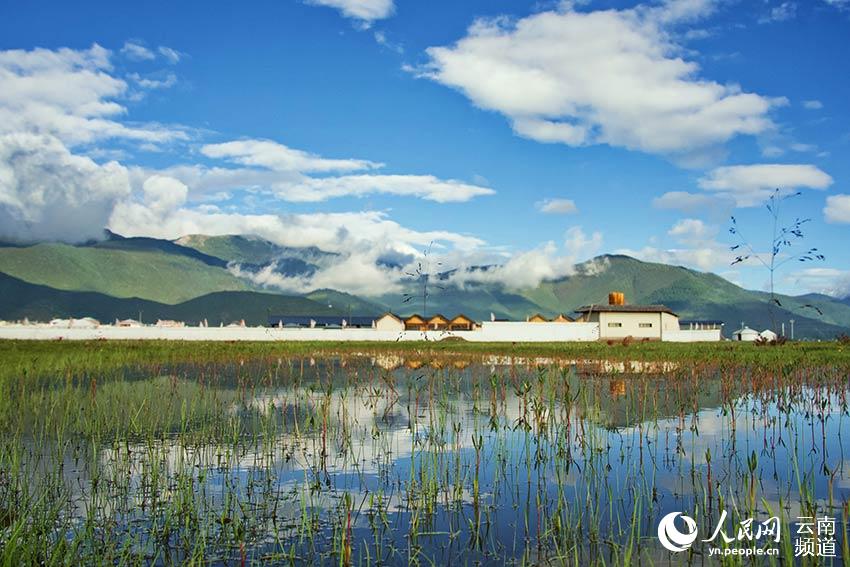 納帕海濕地風景。呂昊辰攝