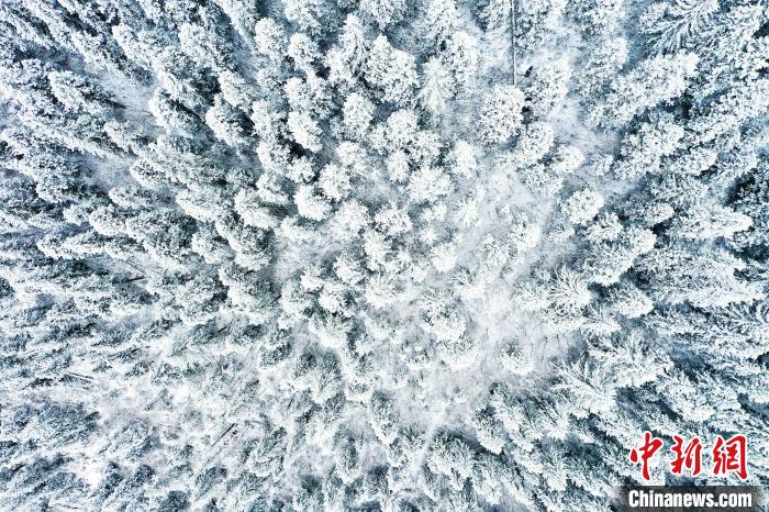 壤塘的雪后美景。　壤塘縣融媒體中心供圖