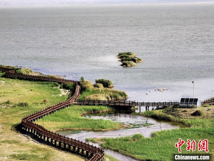 圖為都蘭湖國家濕地公園觀光棧道?！∑钤鲚?攝