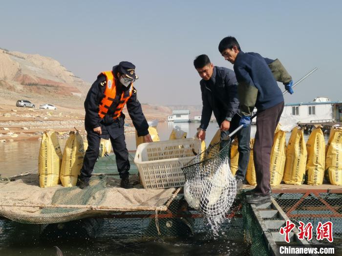 甘肅牦牛乳制品拓展南亞合作民族特色產(chǎn)品闖海外市場