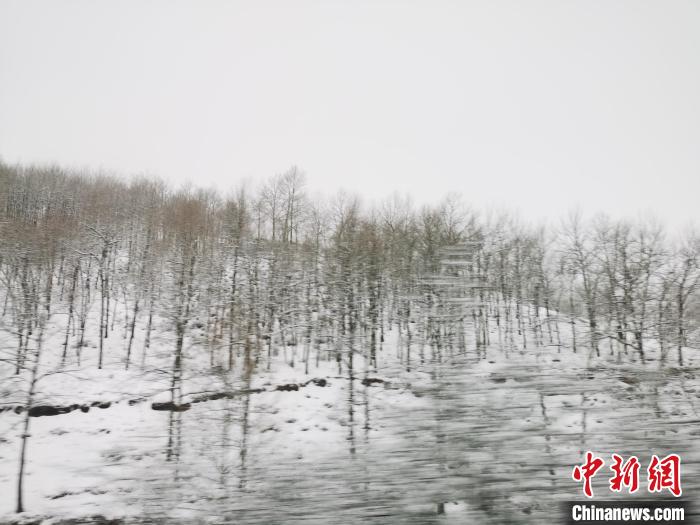 圖為青海青沙山區(qū)域被降雪覆蓋。　張?zhí)砀?攝