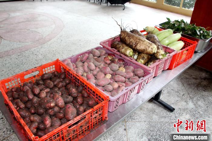 圖為亞東邊檢站“警營菜園”喜獲豐收的蔬菜?！⊥鯑|東 攝