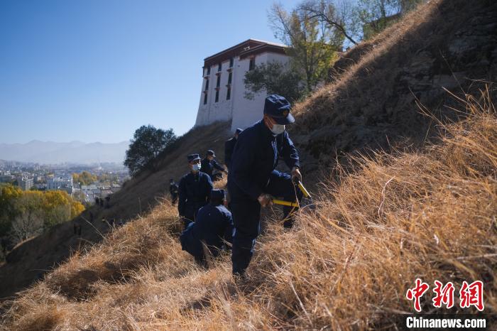 圖為消防員分成5個(gè)小隊(duì)在除草。　何蓬磊 攝