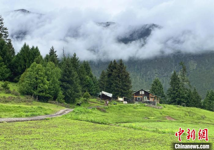 6月10日，魯朗小鎮(zhèn)高山牧場景區(qū)風光?！∪轿木?攝