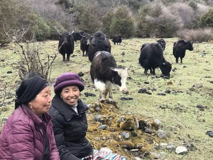 大美邊疆行丨西藏：固邊興邊富民 打造高原邊疆美麗新畫卷