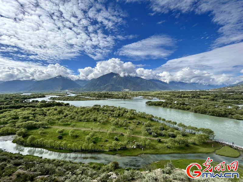 我們的家園丨【組圖】 綠水青山入畫，“金山銀山”筑起