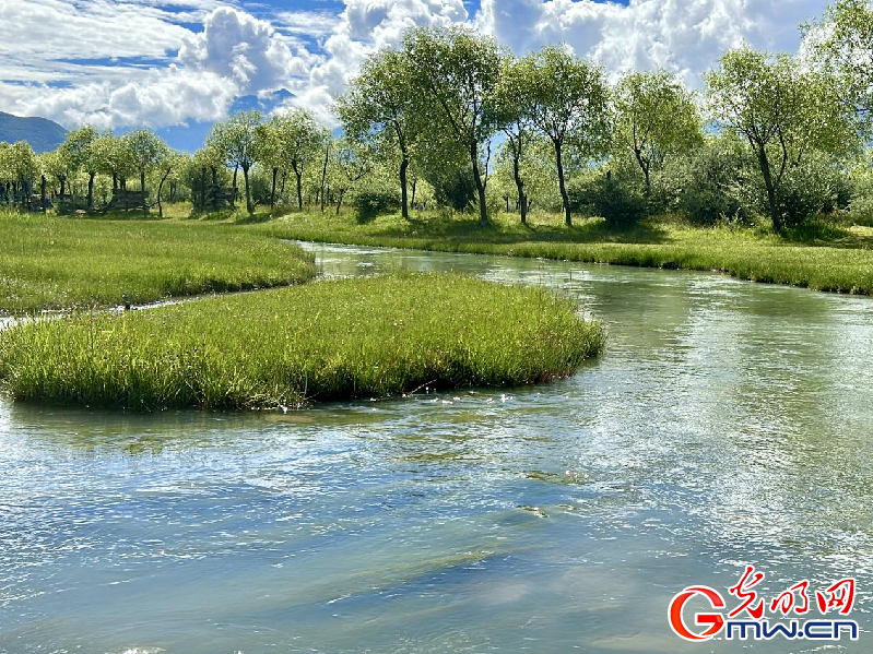 我們的家園丨【組圖】 綠水青山入畫，“金山銀山”筑起