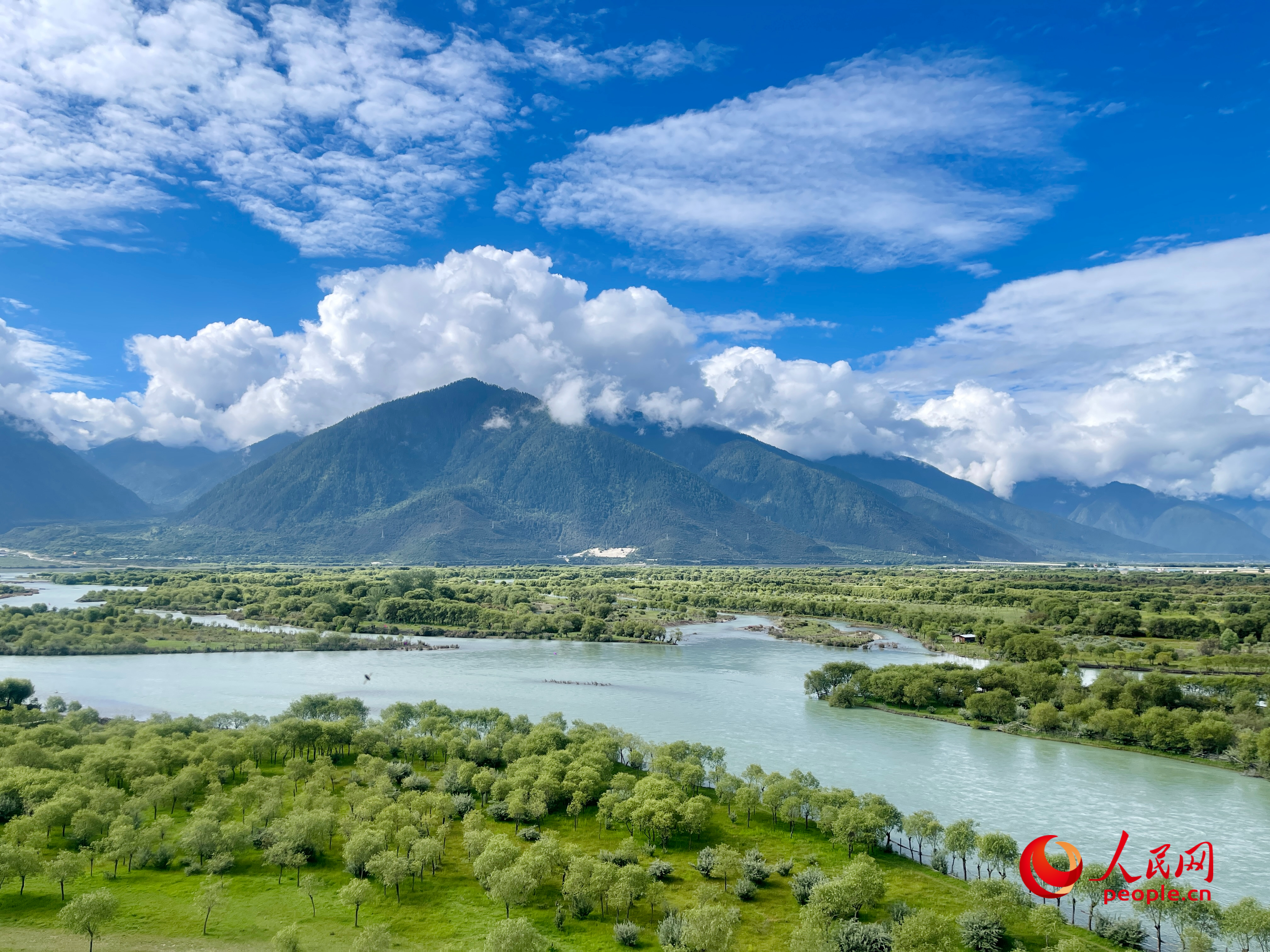 夏日的雅尼國家濕地公園生機(jī)盎然，如詩如畫。人民網(wǎng) 周靜圓攝