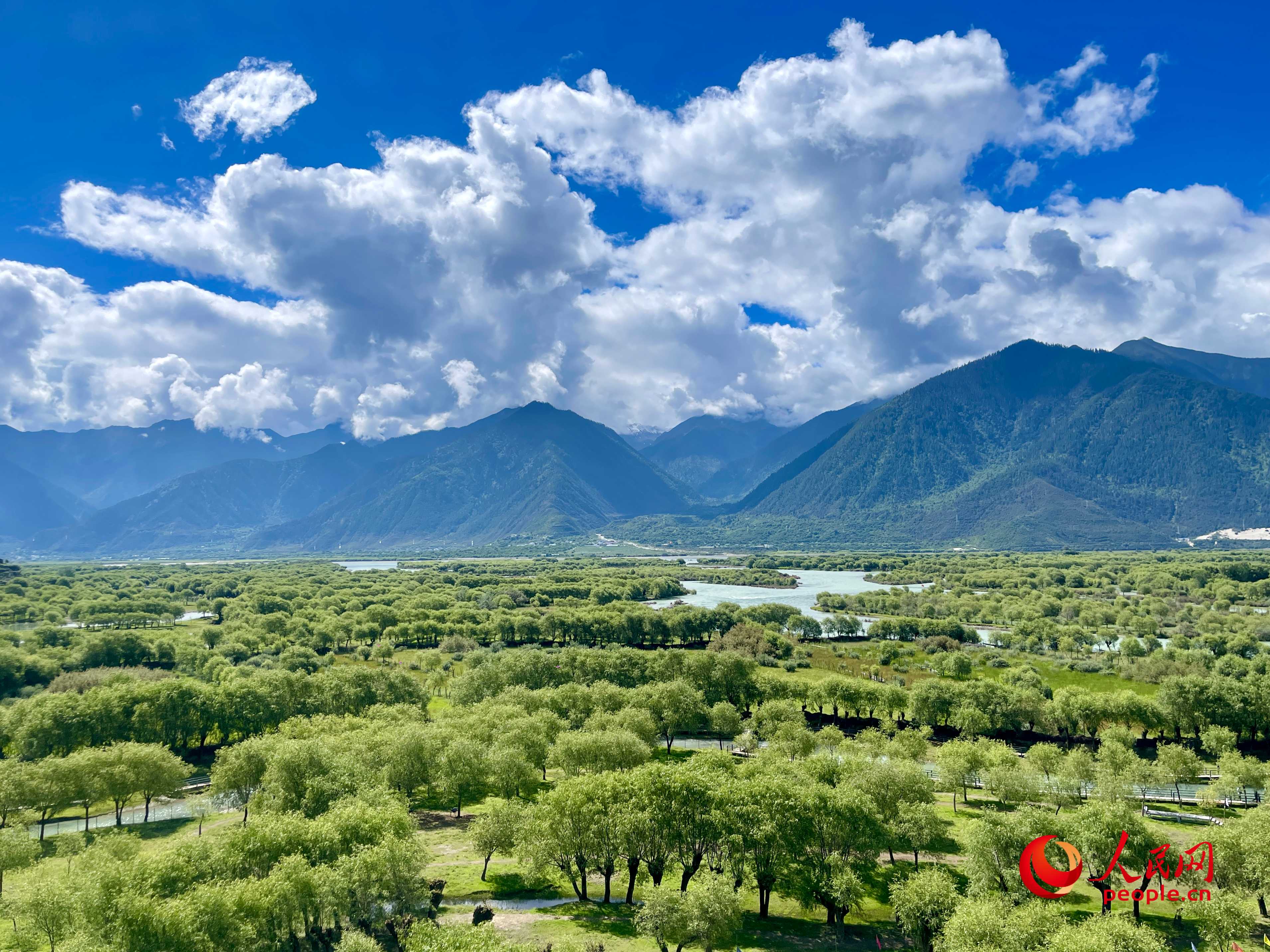 夏日的雅尼國家濕地公園生機(jī)盎然，如詩如畫。人民網(wǎng) 周靜圓攝