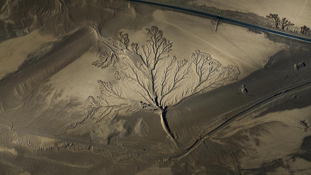 無人機(jī)視角下的西藏阿里地區(qū)改則縣“大地之樹”景觀。尼瑪多吉攝